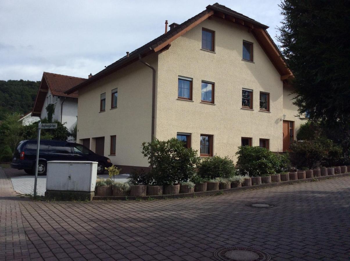 Mountain View Rooms Kindsbach Buitenkant foto